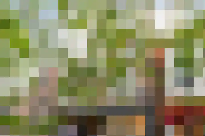 Darwinstraat 7 Sittard thumbnail 4