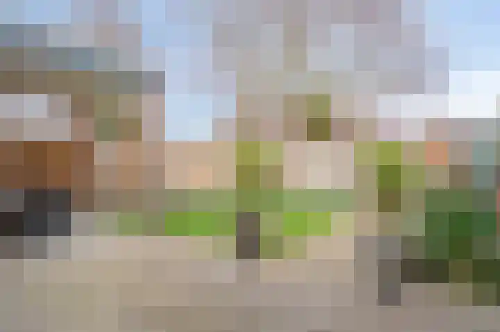 Darwinstraat 7 Sittard thumbnail 4