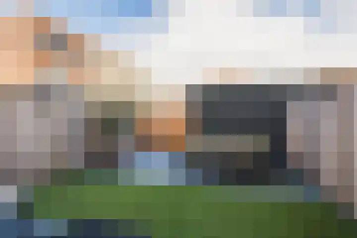 Das 20 's-Gravenzande thumbnail 10