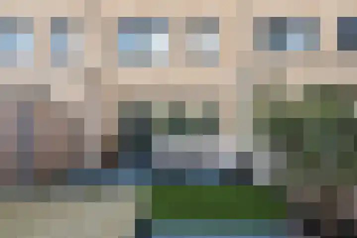 Das 20 's-Gravenzande thumbnail 11