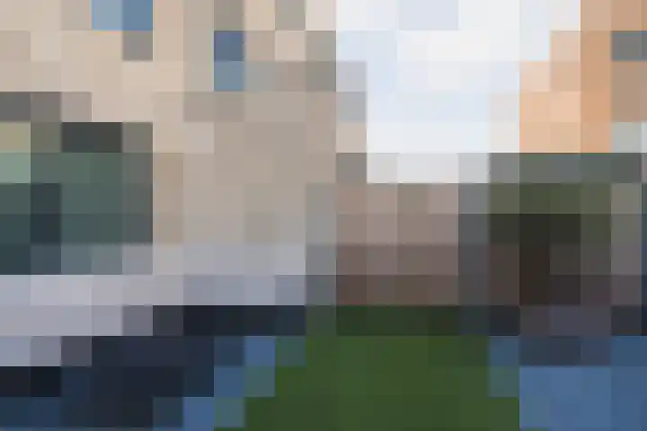 Das 20 's-Gravenzande thumbnail 12