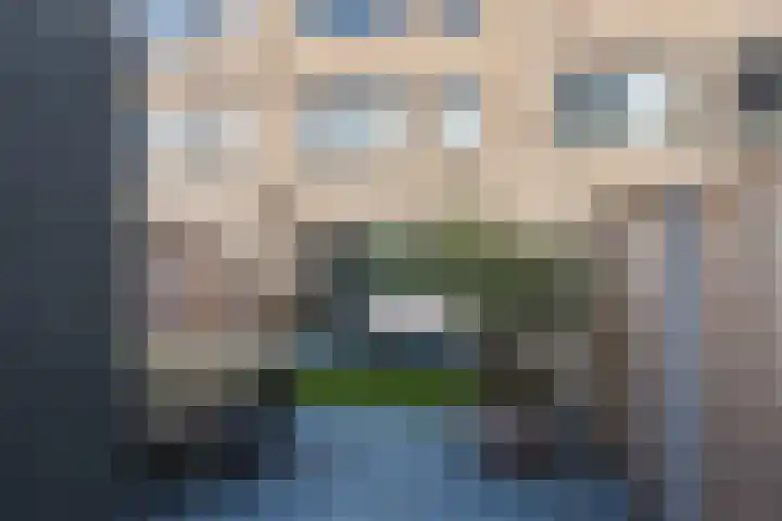 Das 20 's-Gravenzande thumbnail 13