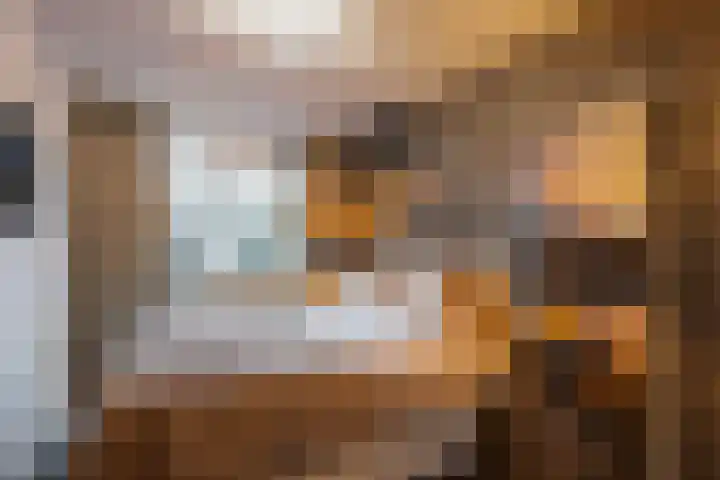 Das 20 's-Gravenzande thumbnail 15