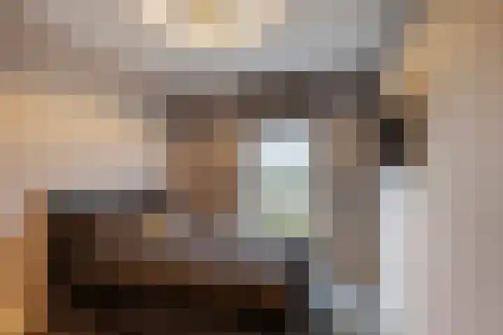 Das 20 's-Gravenzande thumbnail 16