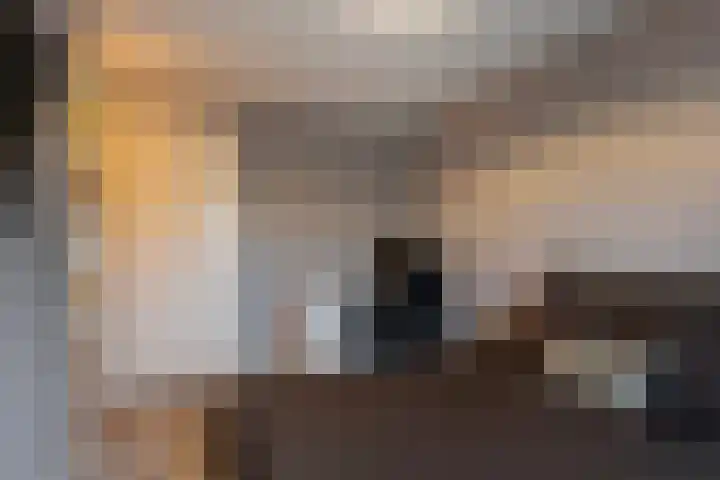 Das 20 's-Gravenzande thumbnail 17