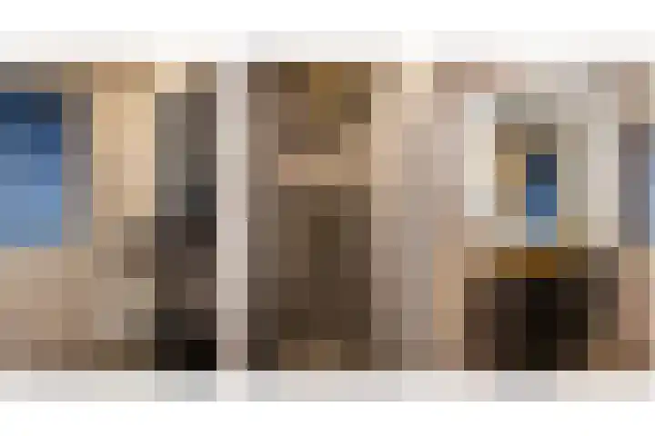Das 20 's-Gravenzande thumbnail 19