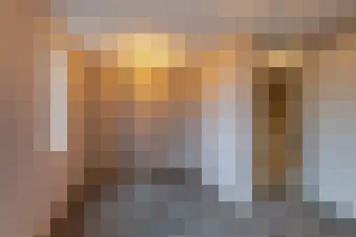 Das 20 's-Gravenzande thumbnail 22