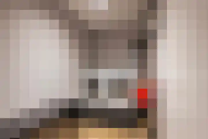 Das 20 's-Gravenzande thumbnail 25