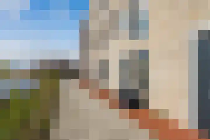 Das 20 's-Gravenzande thumbnail 28