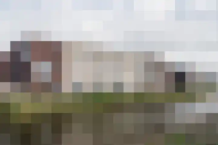 Das 20 's-Gravenzande thumbnail 29