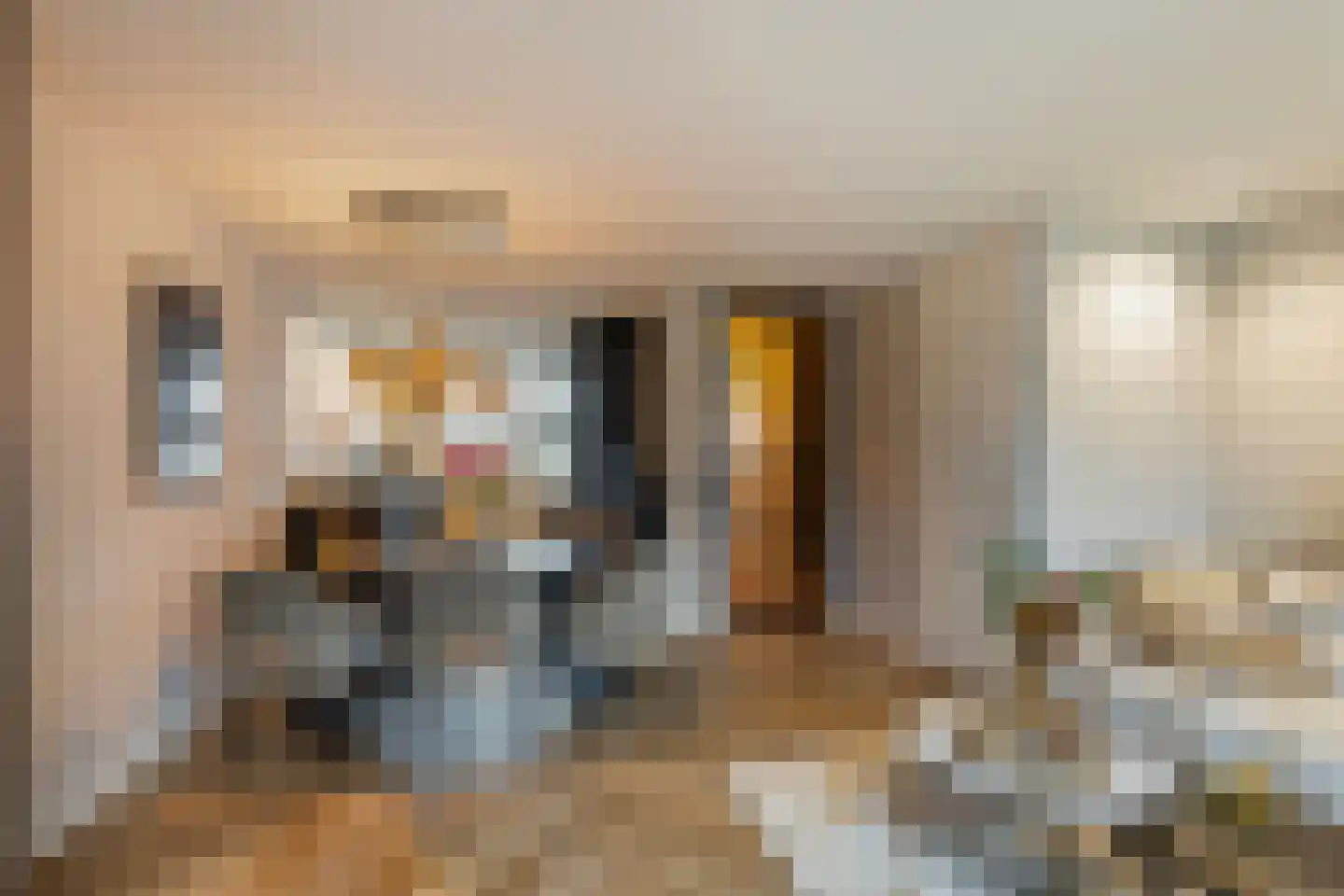 Das 20 's-Gravenzande thumbnail 30