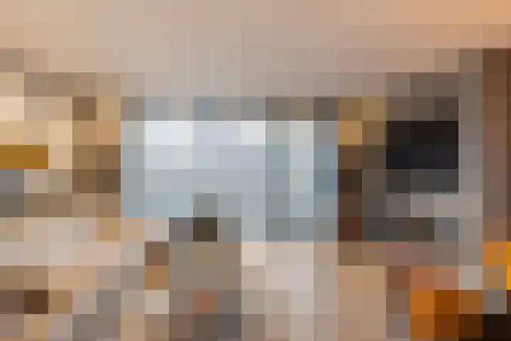 Das 20 's-Gravenzande thumbnail 5