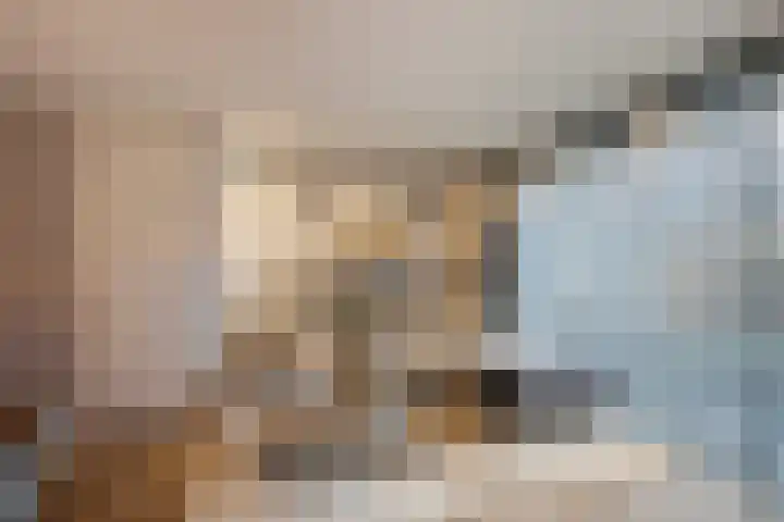 Das 20 's-Gravenzande thumbnail 6