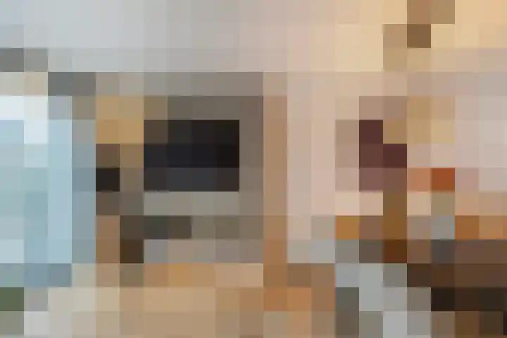 Das 20 's-Gravenzande thumbnail 7
