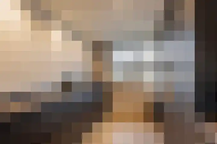 Das 20 's-Gravenzande thumbnail 8