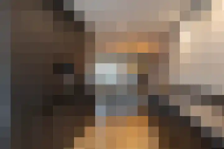 Das 20 's-Gravenzande thumbnail 9