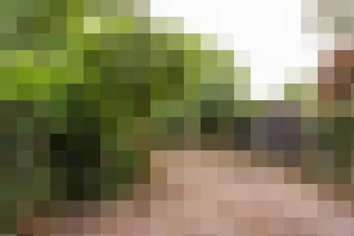 Dashorst 29 Leusden thumbnail 21