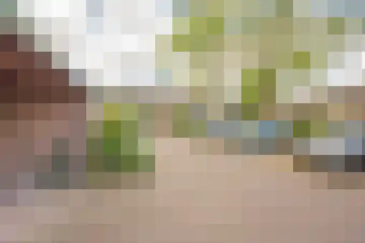 Dashorst 29 Leusden thumbnail 22