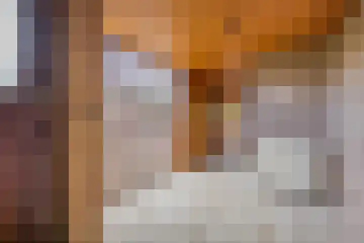 Dashorst 29 Leusden thumbnail 5