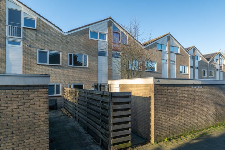 Daslook 55 in Leeuwarden foto