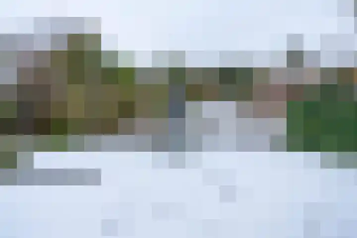 Daslook 61 Breukelen thumbnail 10