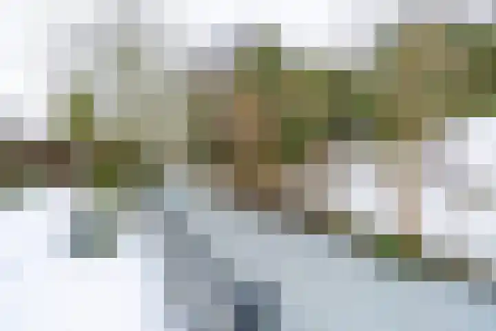 Daslook 61 Breukelen thumbnail 11