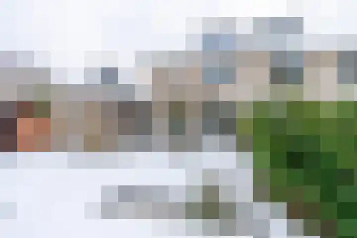 Daslook 61 Breukelen thumbnail 12