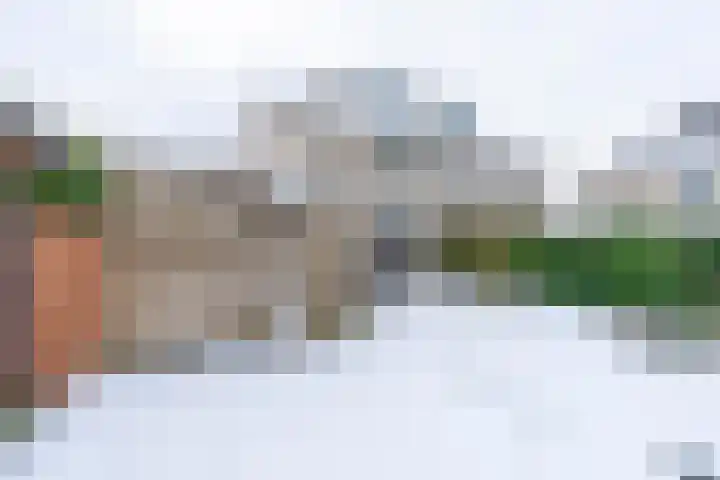Daslook 61 Breukelen thumbnail 13