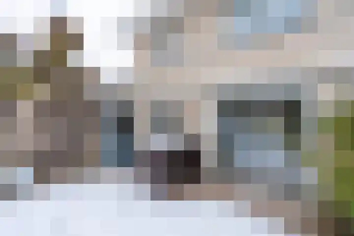 Daslook 61 Breukelen thumbnail 14