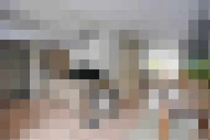 Daslook 61 Breukelen thumbnail 15