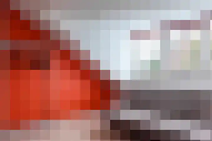Daslook 61 Breukelen thumbnail 27