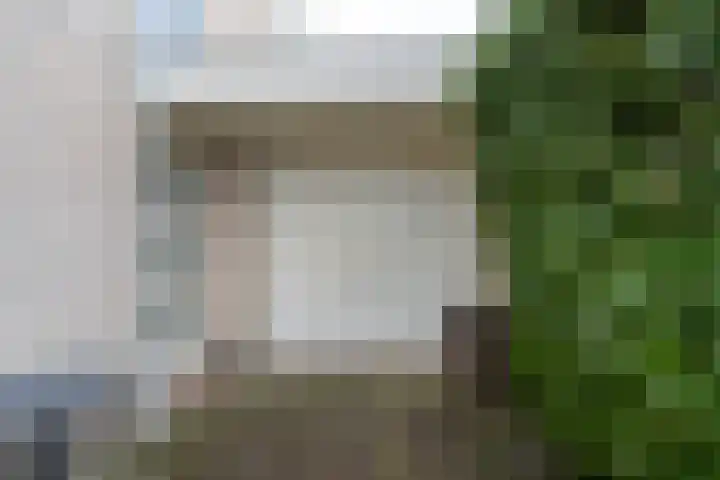 Daslook 61 Breukelen thumbnail 33