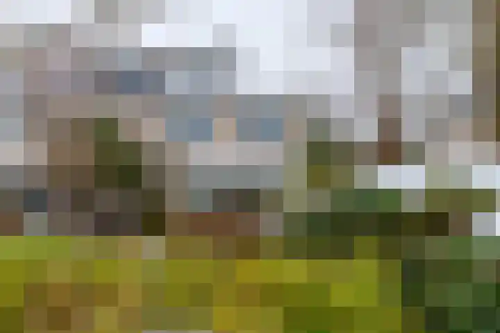 Daslook 61 Breukelen thumbnail 34