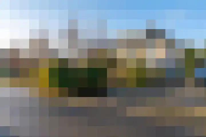 Daslook 61 Breukelen thumbnail 35