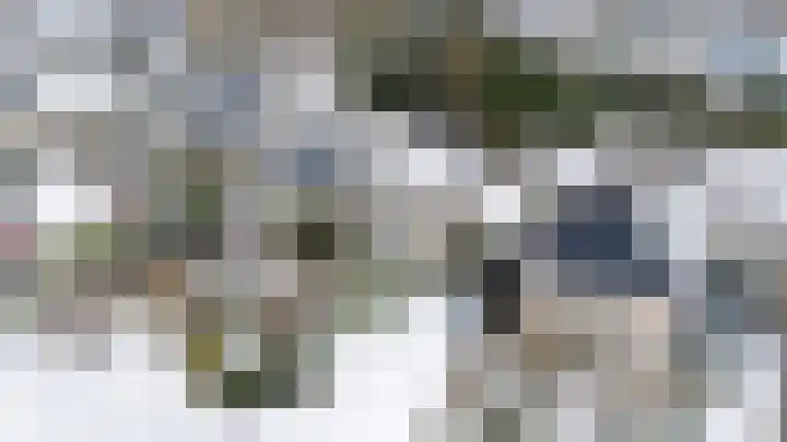 Daslook 61 Breukelen thumbnail 36