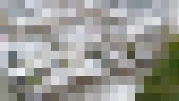 Daslook 61 Breukelen thumbnail 37