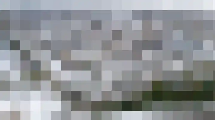 Daslook 61 Breukelen thumbnail 38