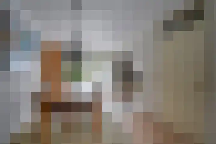 Daslook 61 Breukelen thumbnail 7