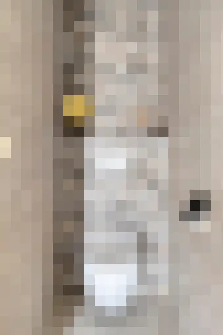 Dasseburcht 28 Oss thumbnail 12