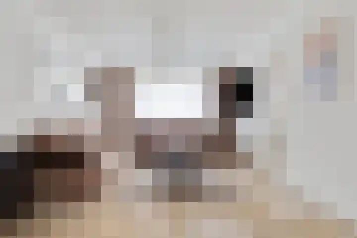 Dasseburcht 28 Oss thumbnail 13