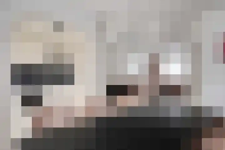 Dasseburcht 28 Oss thumbnail 17