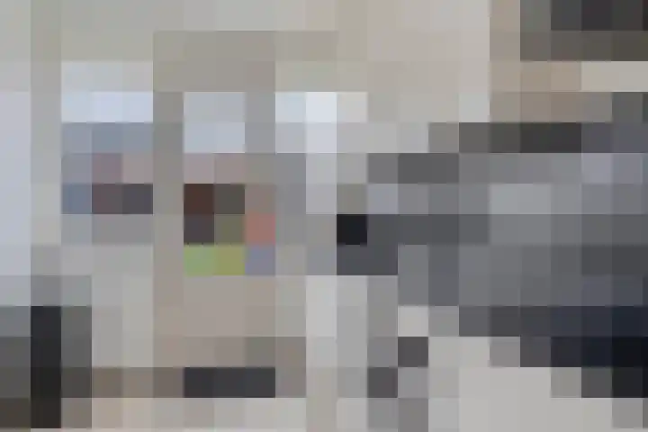 Dasseburcht 28 Oss thumbnail 19