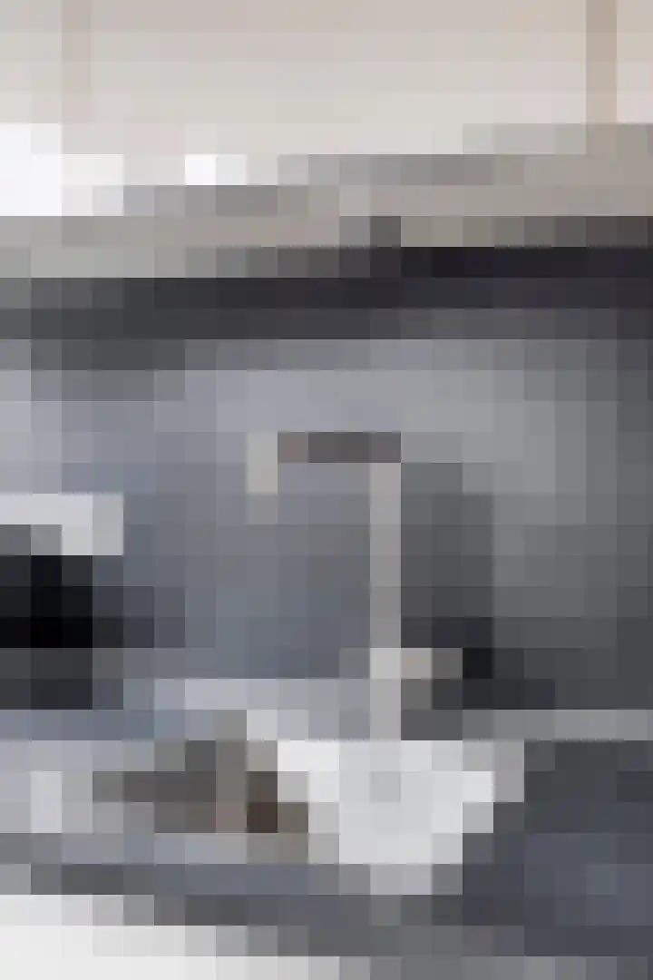 Dasseburcht 28 Oss thumbnail 20