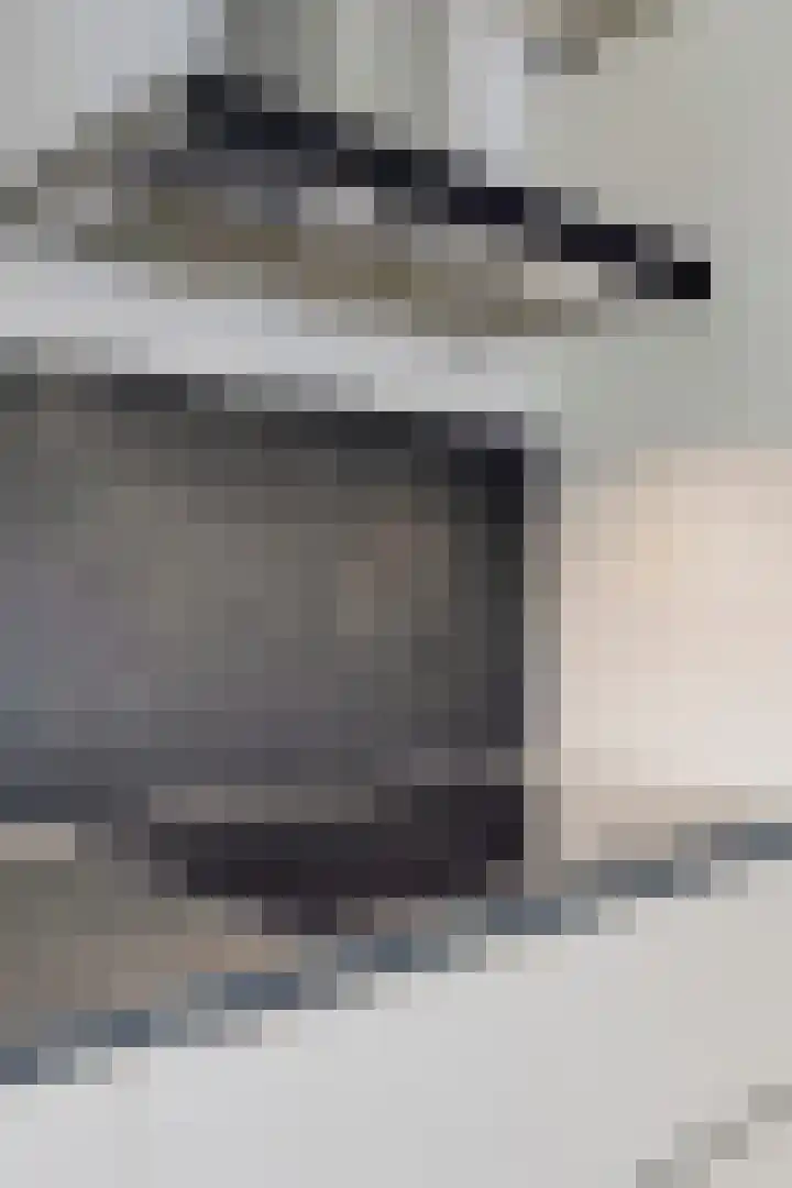 Dasseburcht 28 Oss thumbnail 21