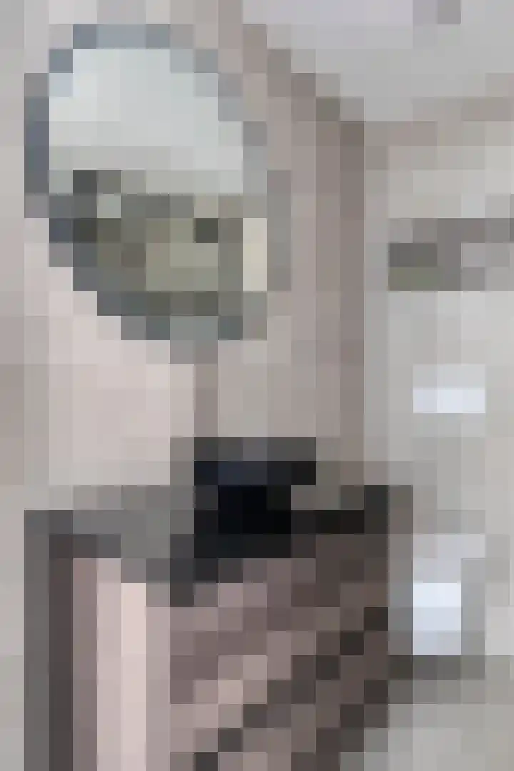 Dasseburcht 28 Oss thumbnail 26