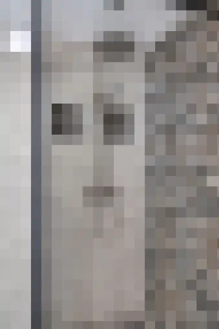 Dasseburcht 28 Oss thumbnail 27
