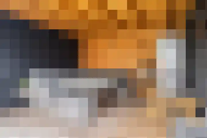 Dasseburcht 28 Oss thumbnail 35