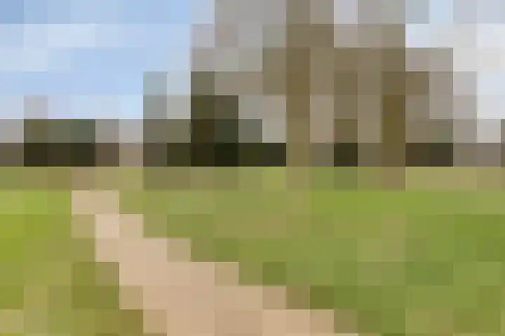 Dasseburcht 28 Oss thumbnail 38
