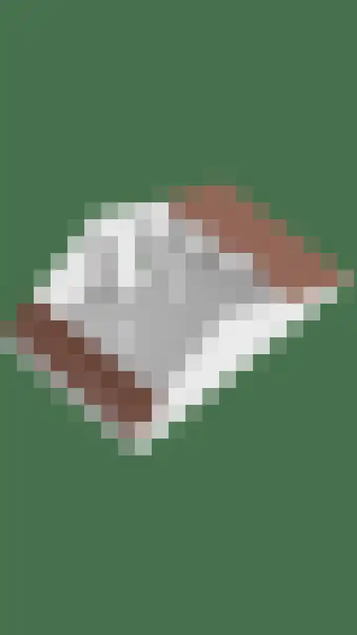 Dasseburcht 28 Oss thumbnail 45