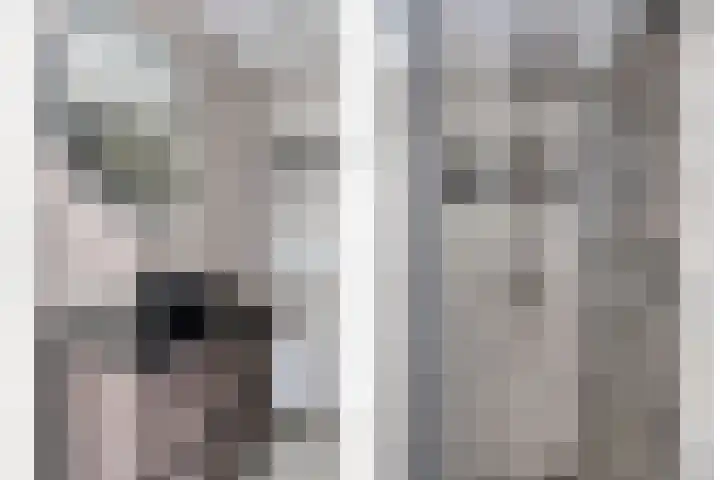 Dasseburcht 28 Oss thumbnail 5